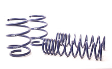 Load image into Gallery viewer, H&amp;R 96-03 BMW 540i E39 Race Spring (Non Touring &amp; w/o Sport Susp.) - DTX Performance