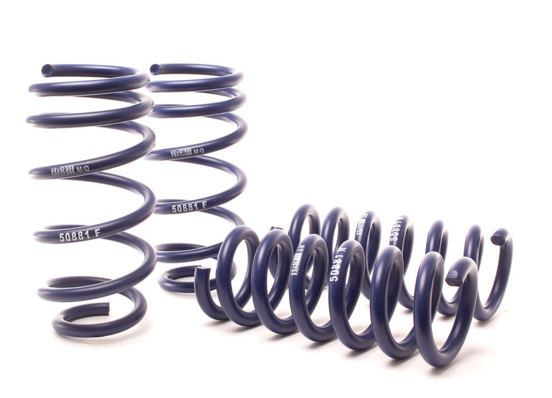 H&R 11-21 Dodge Charger SE/SXT/SXT Plus (2WD/4WD) Rallye/Plus/V6 Sport Spring - DTX Performance