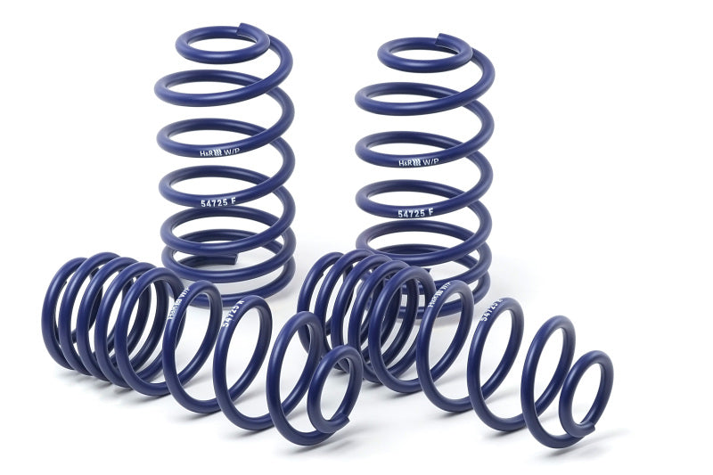 H&R 06-10 Dodge Charger RT/SE/SXT V6/V8 (2WD) Sport Spring (w/Nivomat Only) - DTX Performance