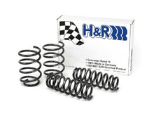 Load image into Gallery viewer, H&amp;R 07-11 BMW 328i Sedan E90 Sport Spring - DTX Performance