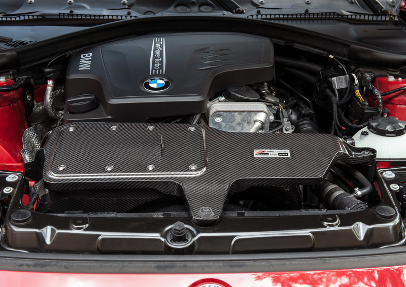 AWE Tuning BMW 228i/320i/328i/428i S-FLO Carbon Intake - DTX Performance