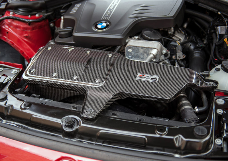 AWE Tuning BMW 228i/320i/328i/428i S-FLO Carbon Intake - DTX Performance