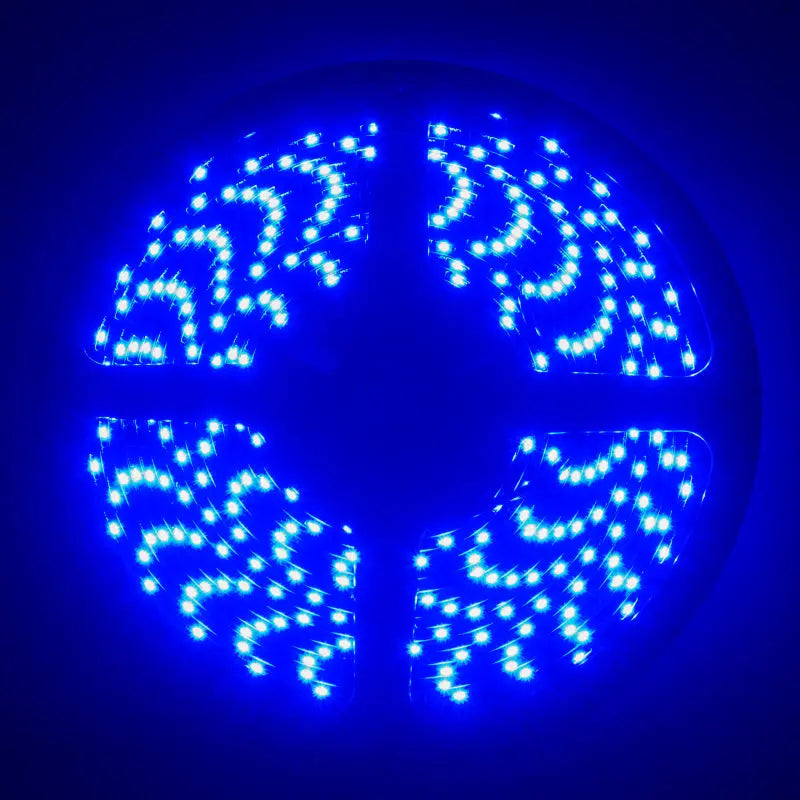 Oracle Side Emitting LED Spool - Blue - DTX Performance