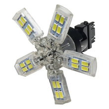 Load image into Gallery viewer, Oracle 3157 15 SMD 3 Chip Spider Bulb (Single) - Cool White - DTX Performance