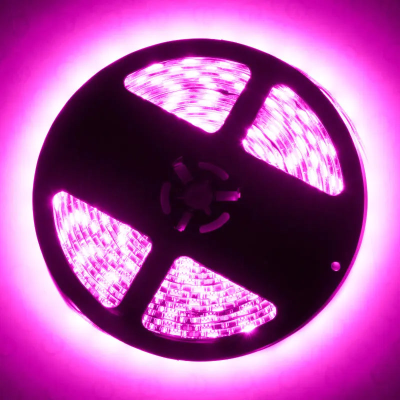 Oracle Exterior Flex LED Spool - Pink - DTX Performance