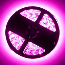 Load image into Gallery viewer, Oracle Exterior Flex LED Spool - Pink - DTX Performance