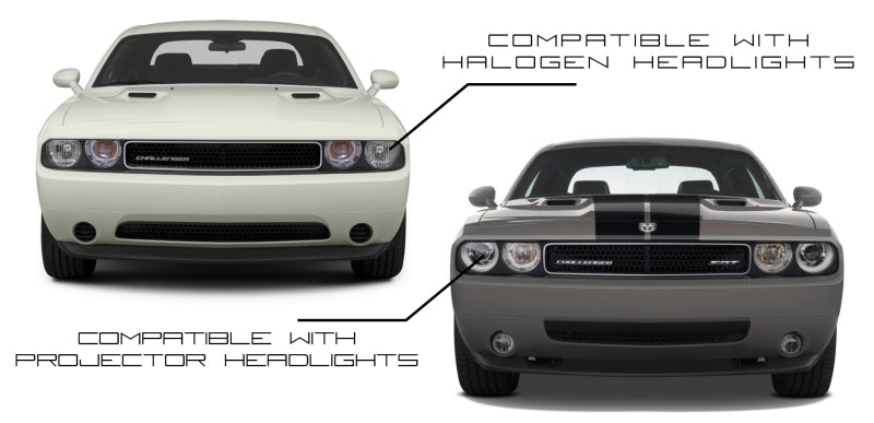 Oracle Dodge Challenger 08-14 Halo Kit - Dynamic - Dynamic - DTX Performance