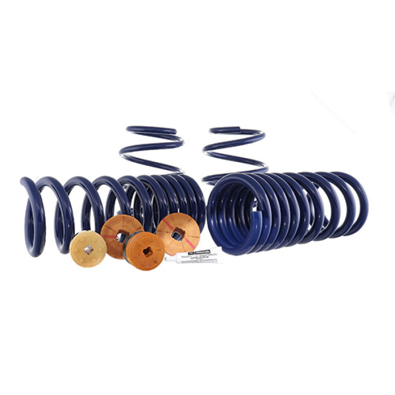 Ford Racing 15-22 Mustang Track Lowering Spring Kit - DTX Performance