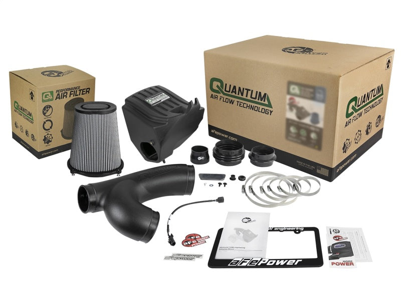 aFe Quantum Pro DRY S Cold Air Intake System 15-18 Ford F150 EcoBoost V6-3.5L/2.7L - Dry - DTX Performance