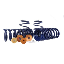 Load image into Gallery viewer, Ford Racing 15-22 Mustang Track Lowering Spring Kit - DTX Performance