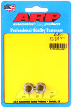 Load image into Gallery viewer, ARP 3/8-16 SS 12pt Nut Kit - DTX Performance